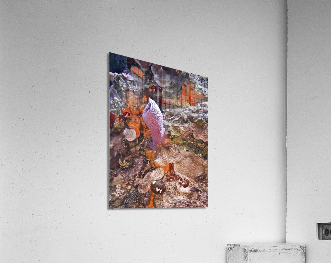 Outback Acrylic Print