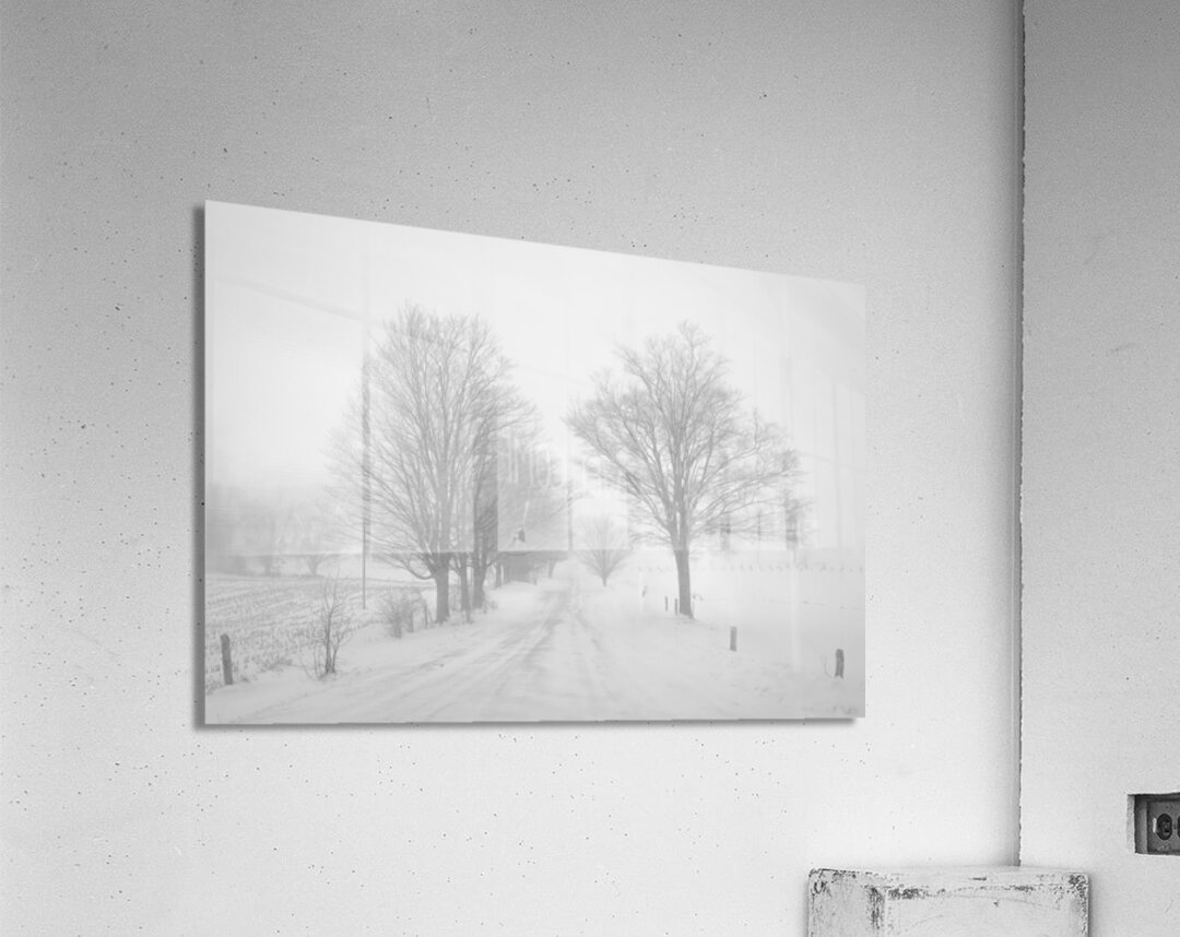 Stick to the Middle of the Road Acrylic Print