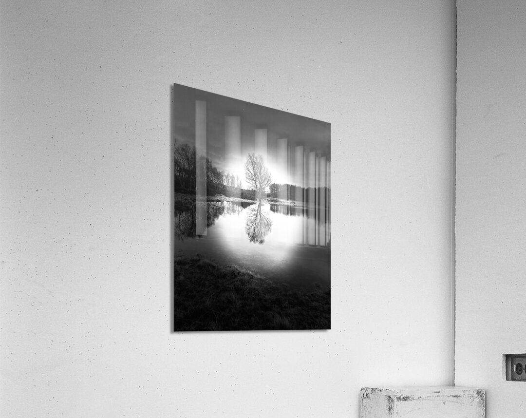 Scenes from the Trail-Winter Birch Tree Reflections in the Scottish Highlands  Acrylic Print