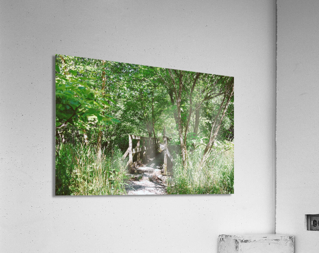 Trail Bridge - 9 Mile Run Acrylic Print