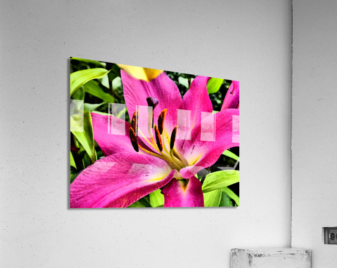 Vibrant Lily Acrylic Print