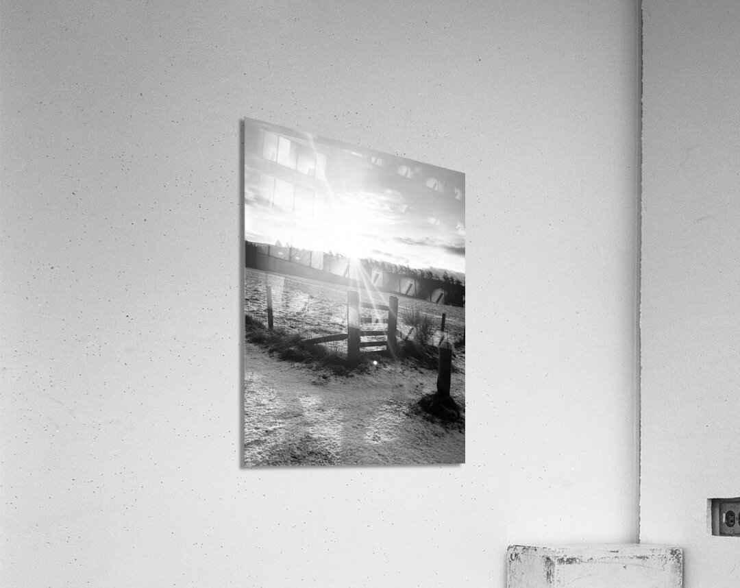 Winters Sunshine for the Scottish Higlands    Acrylic Print