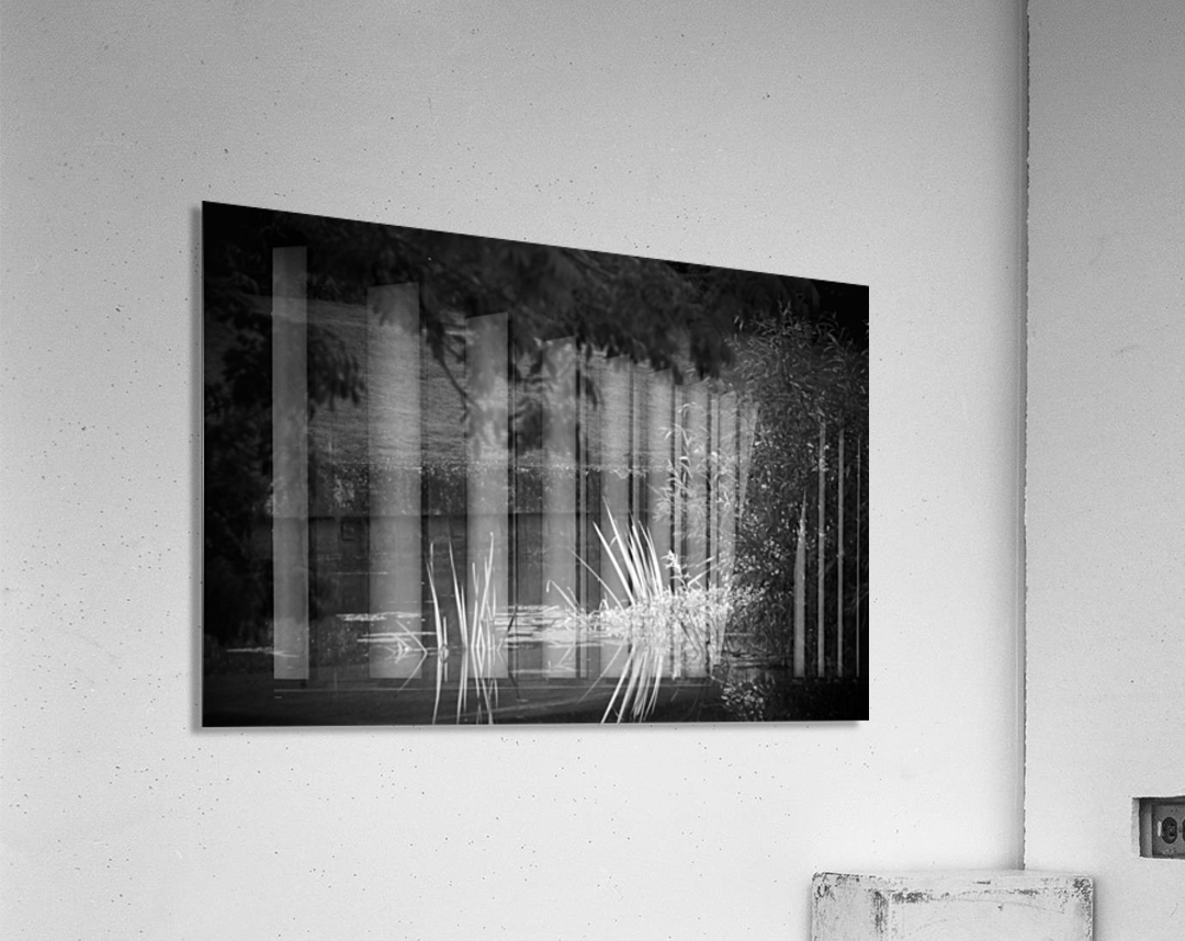 JPT_1499 Acrylic Print