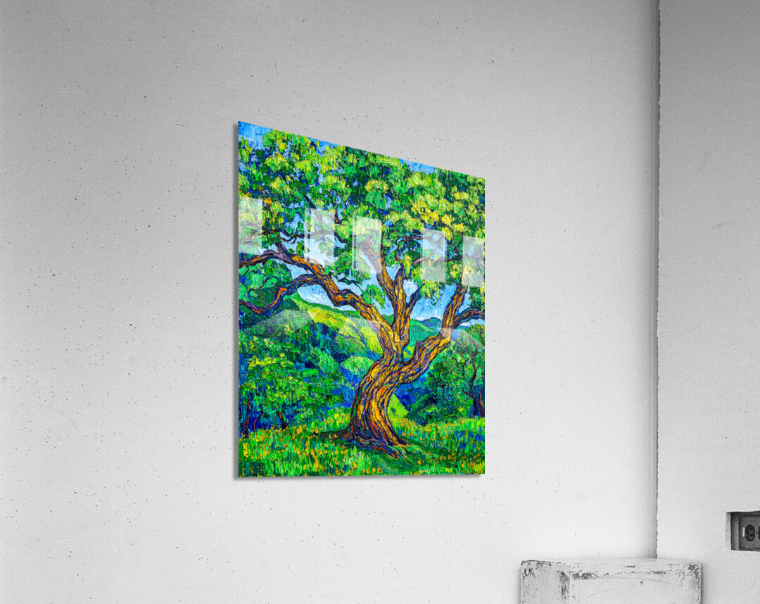 Old Man of the Forest Acrylic Print