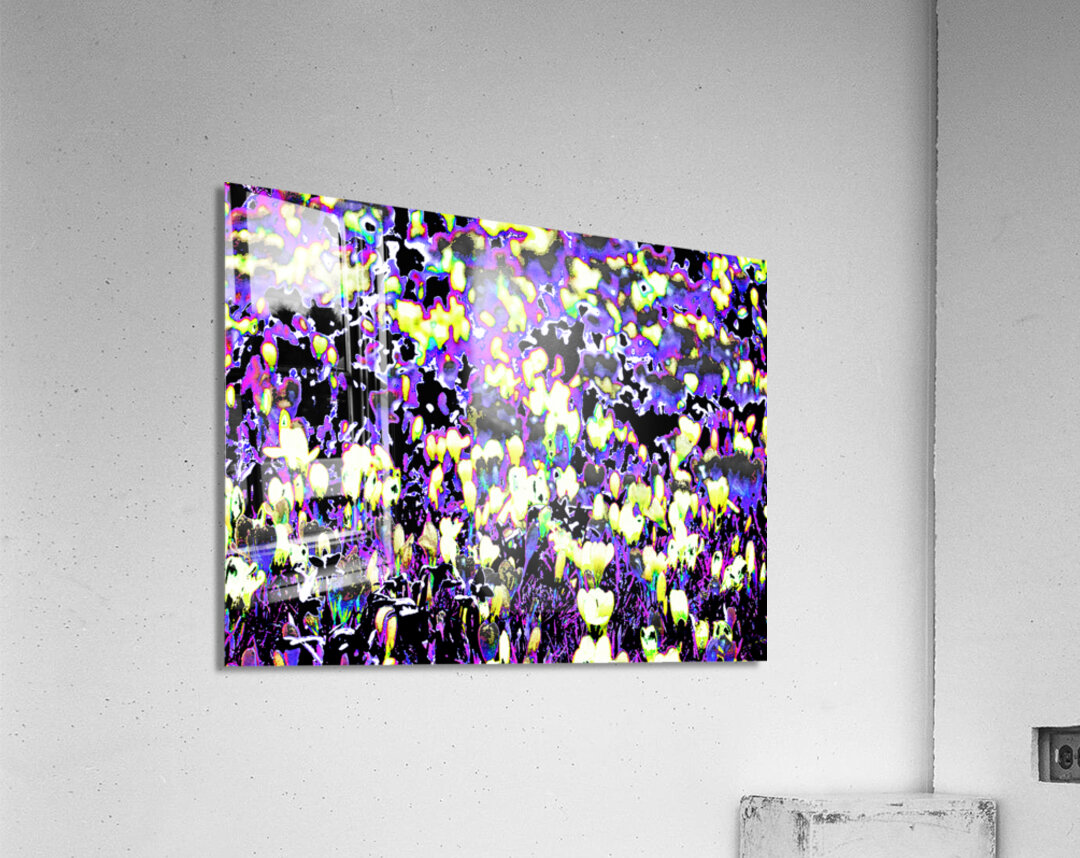 Abstract Crocus Dance                                                                                                 Acrylic Print