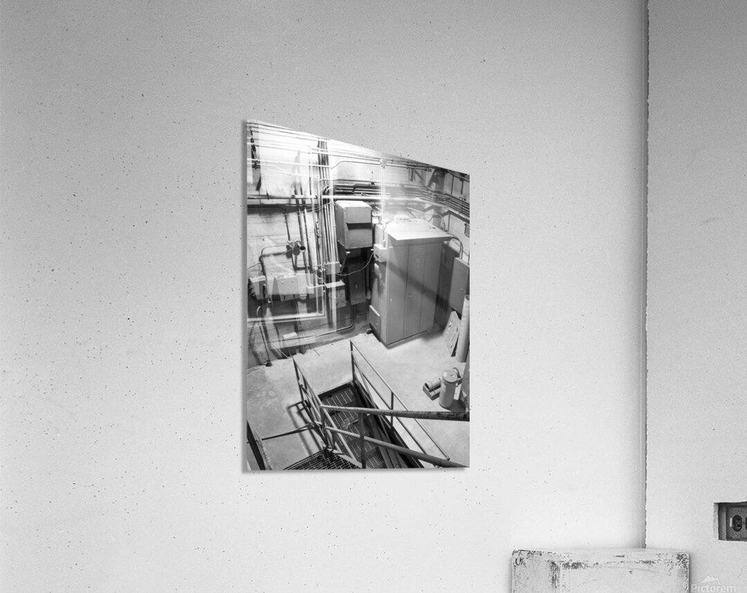 Captivate Acrylic Print