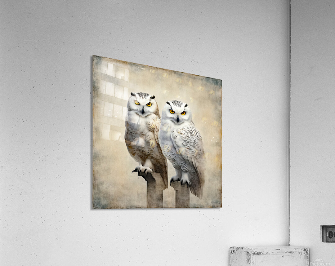 SNOWY 8 Acrylic Print