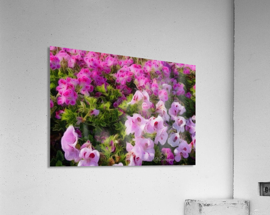 pink pansies2 Acrylic Print
