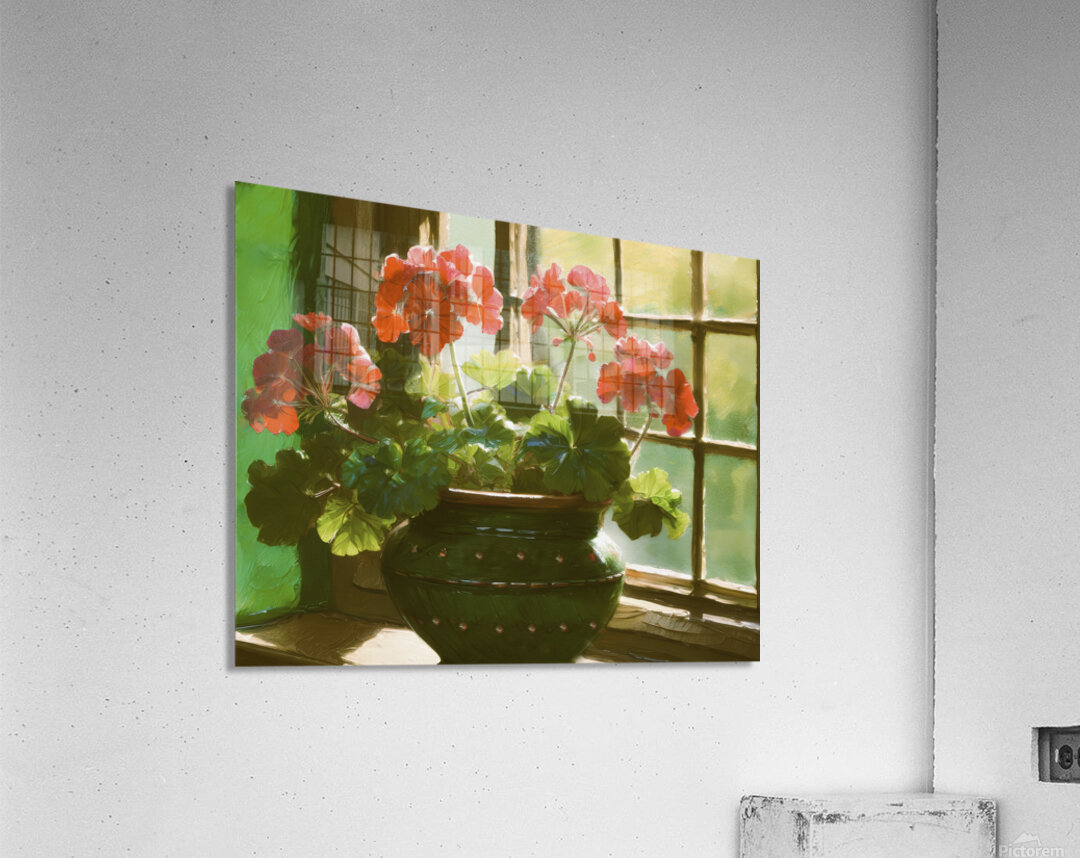Geranium in My Sunroom Acrylic Print
