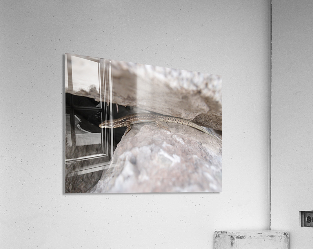 A.P.Polo - Pyrenees Acrylic Print