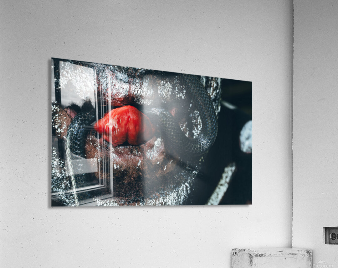 Slither Acrylic Print