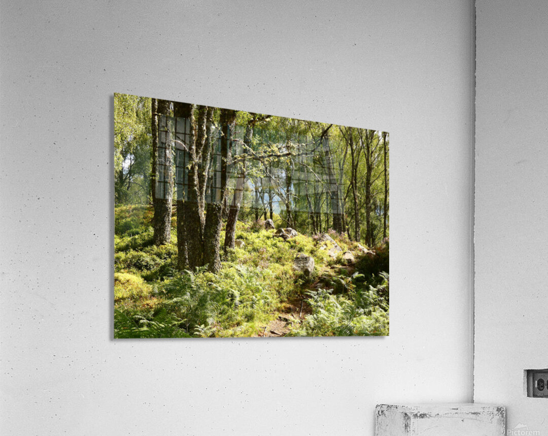 Sunlight Path Through the Scottish Highlands Acrylic Print