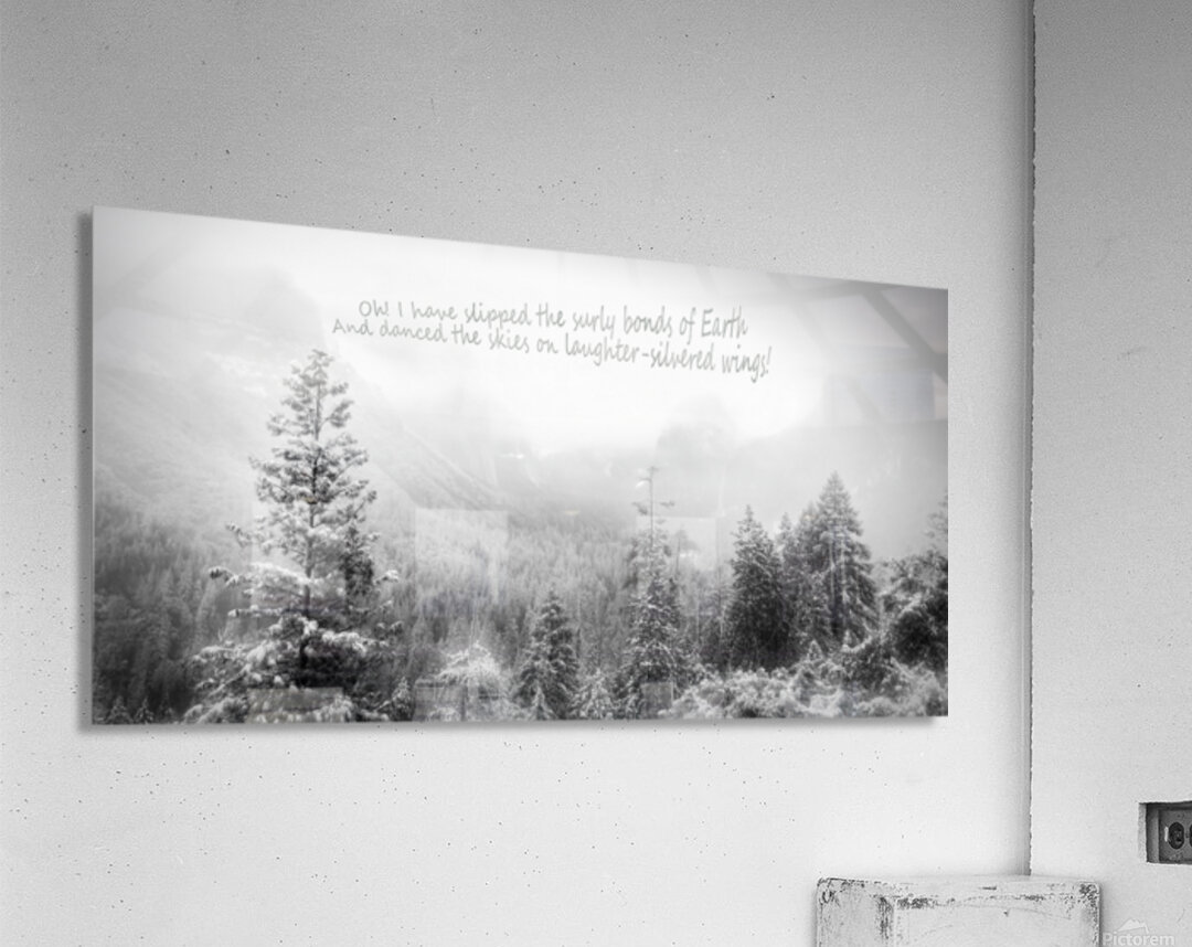 Laughter Silvered Wings Acrylic Print