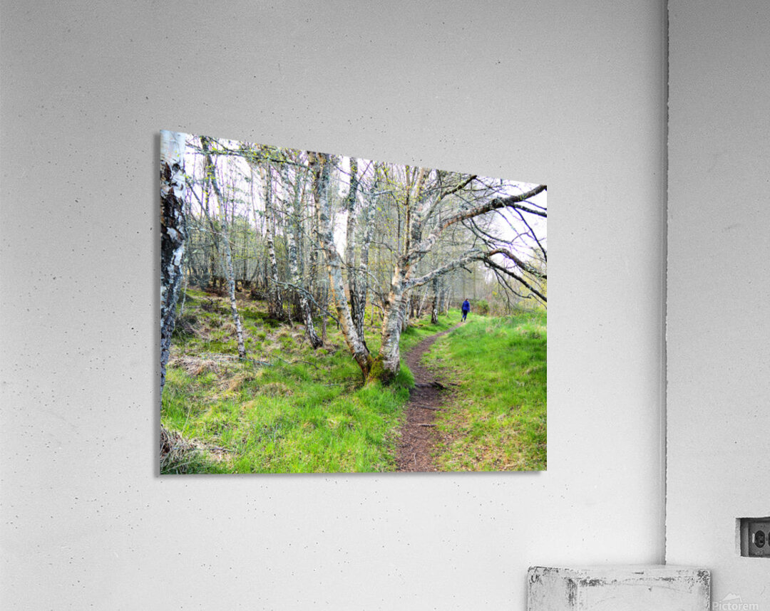 Spring Hike Through the Scottish Highlands                                                                                                                    Acrylic Print