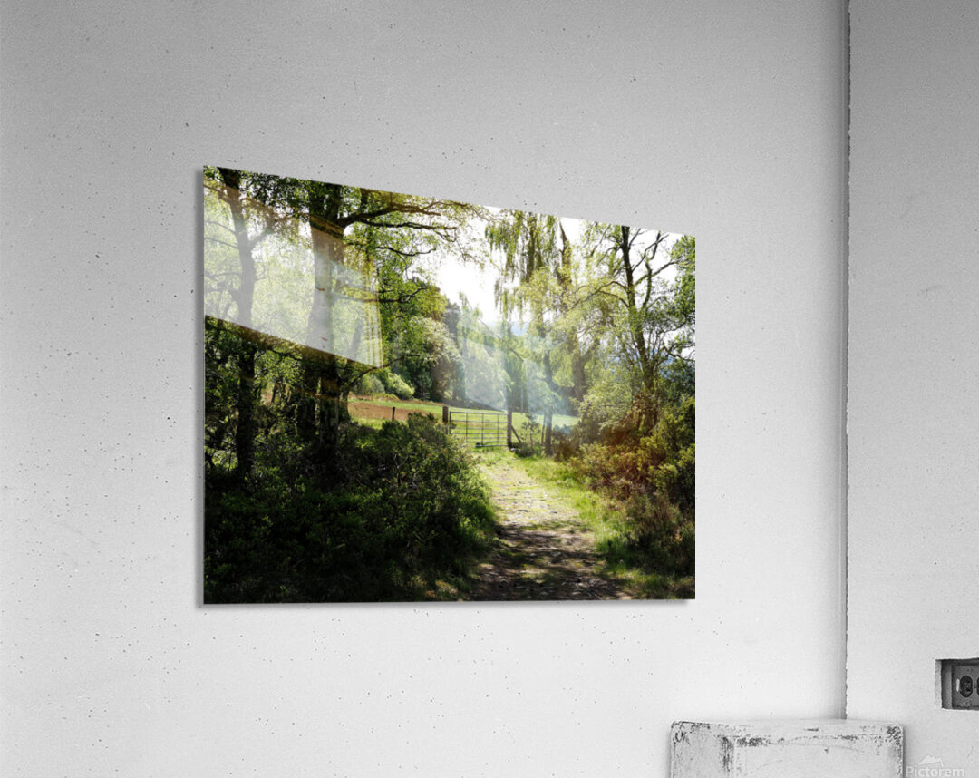 Scottish Highlands Spring                                                                                                        Acrylic Print