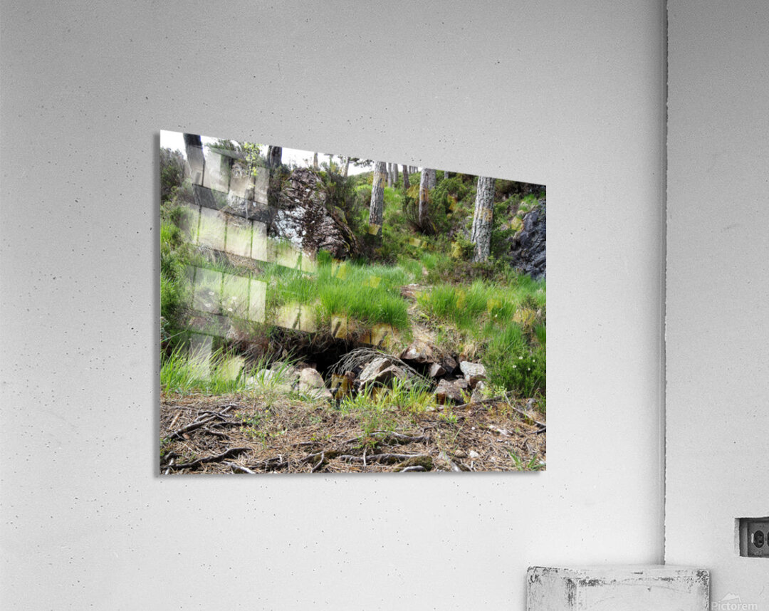  Scottish Highlands Home of the Wild Song                                                                                                                      Acrylic Print