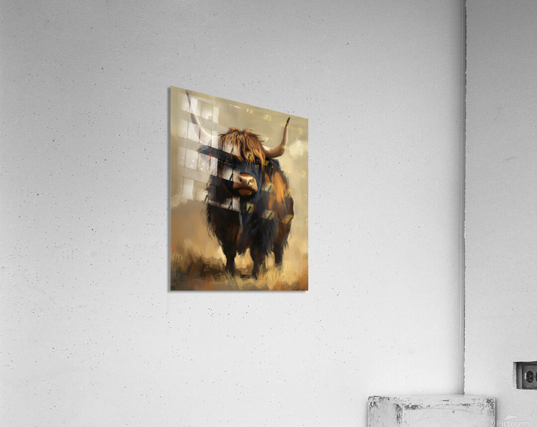Highlander Cow Acrylic Print