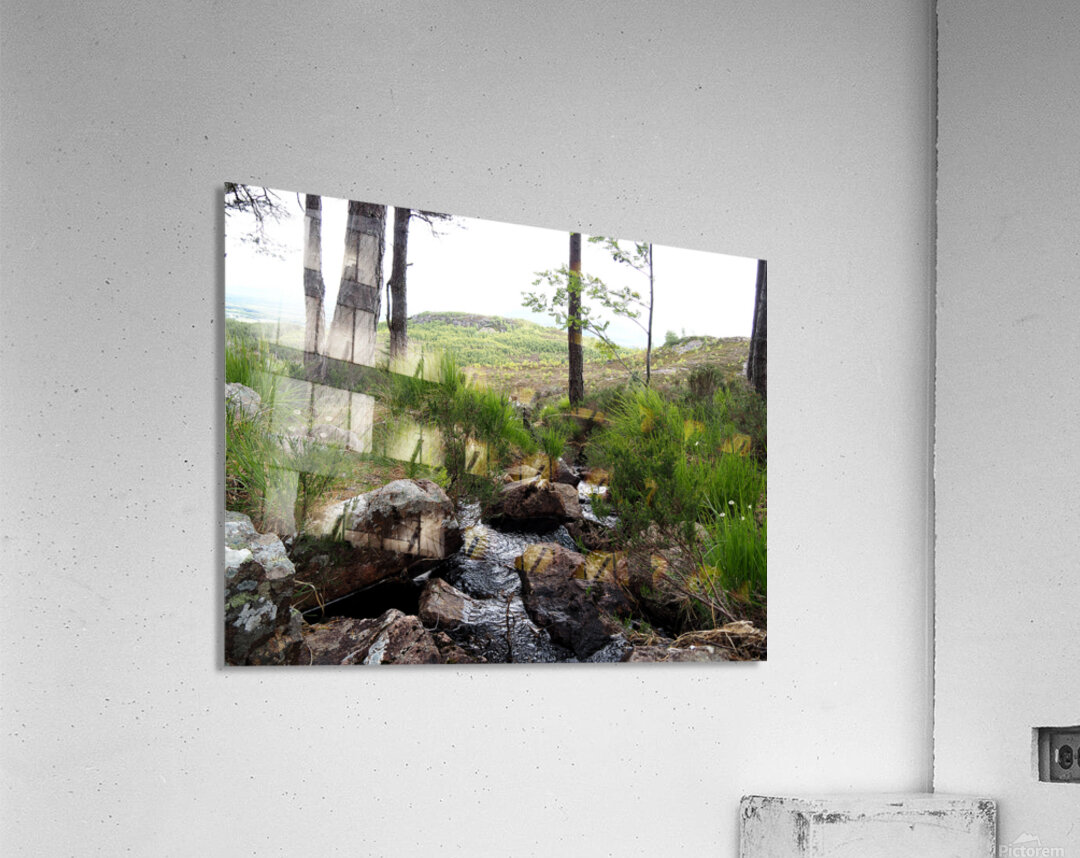  The Burn in the Scottish Highlands                                                                                                                     Acrylic Print