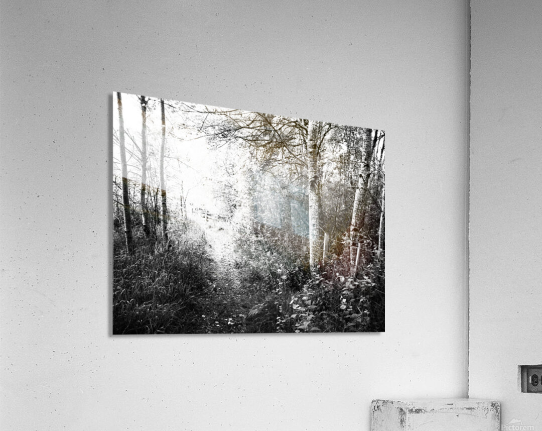 Black and White Walk through the Scottish Highlands                                                                                                                     Acrylic Print