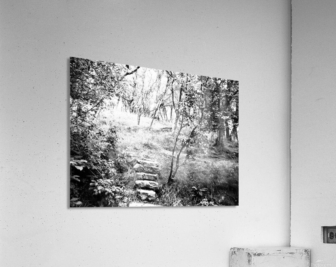  Natures Upward Flight through the Scottish Highlands                                                                                                                     Acrylic Print