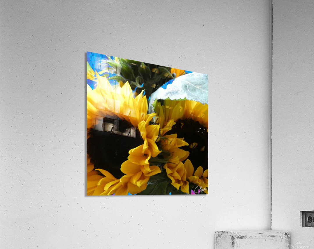 Vibrant Summer Sunflowers Acrylic Print