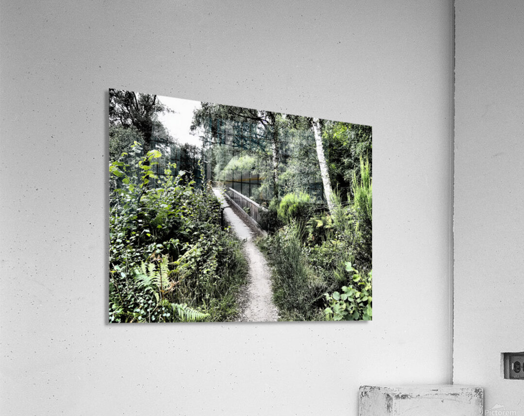  Summers Bridge through the Scottish Highlands                                                                                                                     Acrylic Print