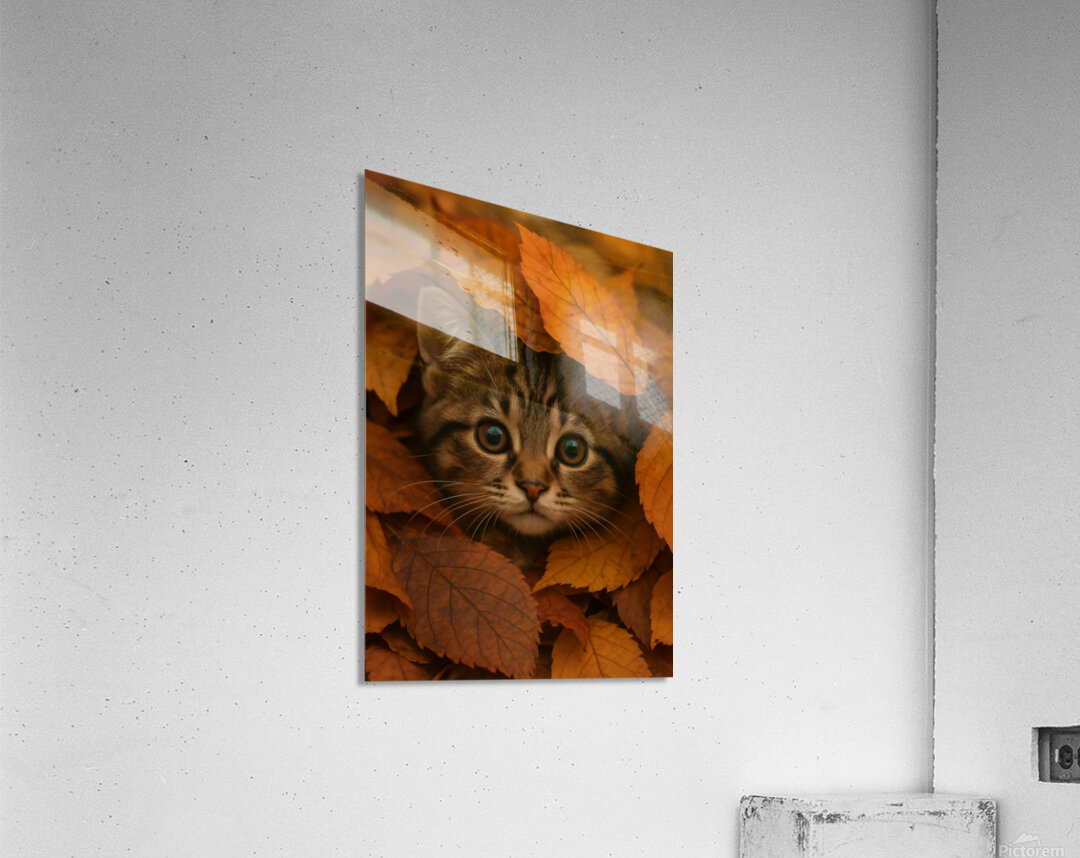 Cute Tabby Kitten in Autumn Forest Leaves Acrylic Print