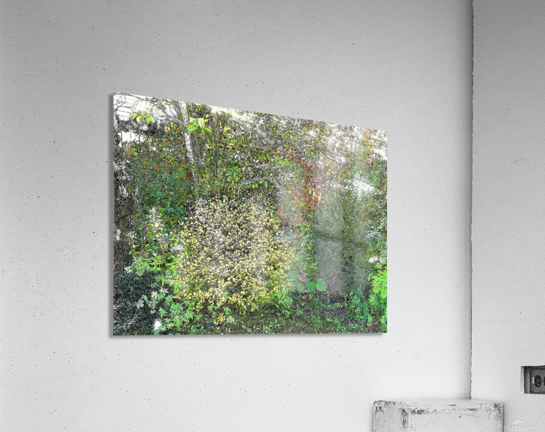 In The Garden                                                                                                                      Acrylic Print