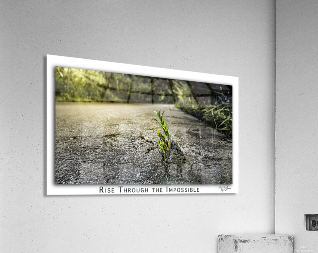 Rise through the Impossible Impression acrylique