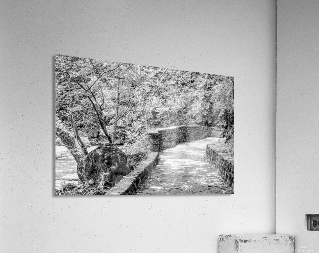 Pathway To Big Spring Grayscale Acrylic Print