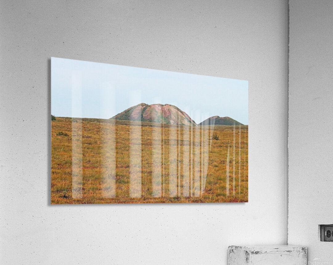 Pingo Canadian Landmark Acrylic Print