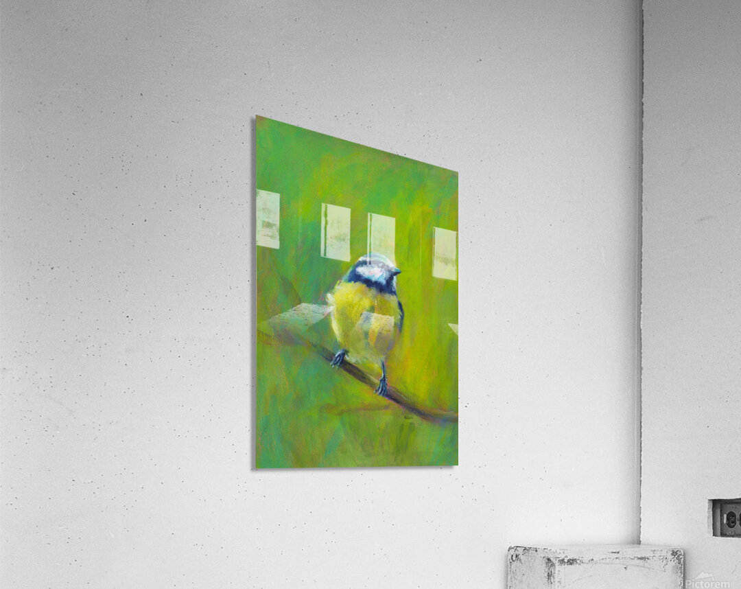 Portrait of Eurasian blue tit acrylic painting  Acrylic Print