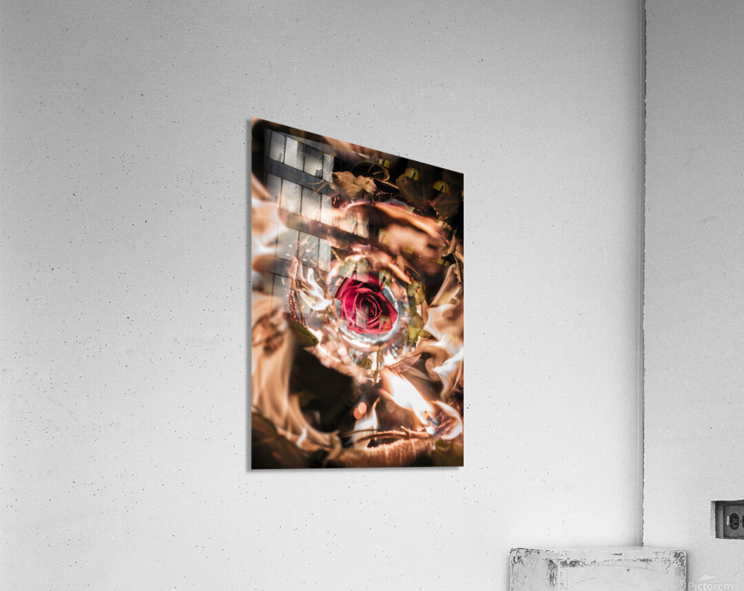 Flaming Flower Acrylic Print