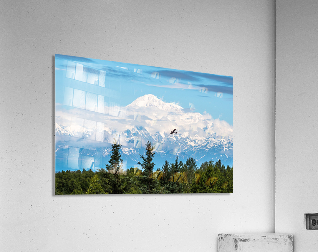 Denali Acrylic Print