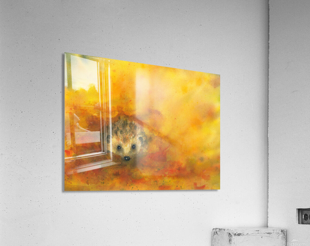 Hedgehog in autumn leaves  Acrylic Print