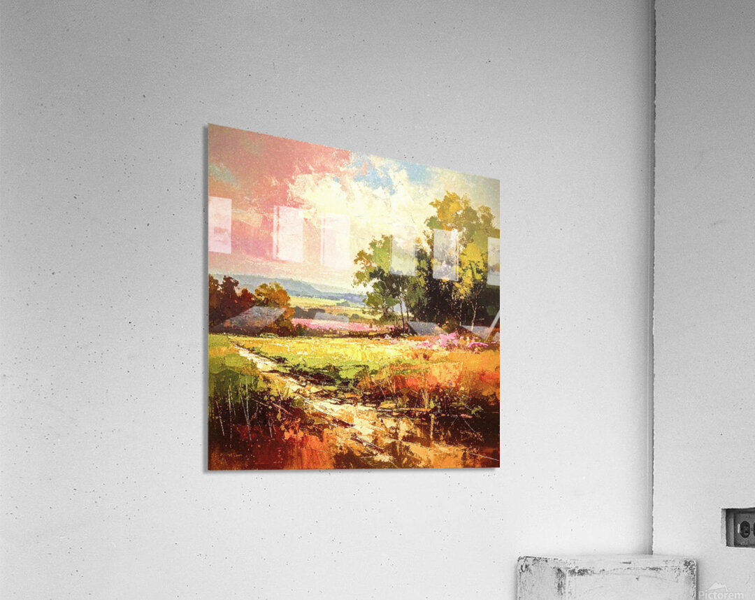 Muddy Creek Acrylic Print