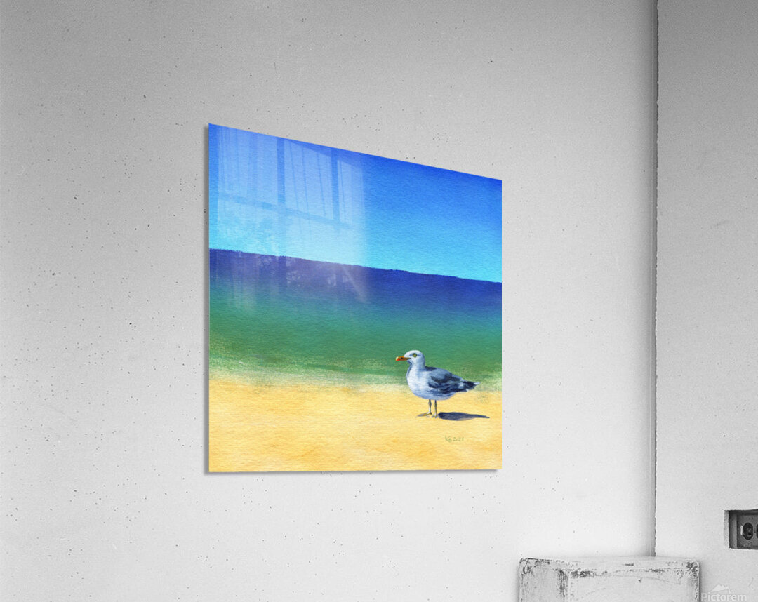 Seagull at the beach acrylic painting  Acrylic Print