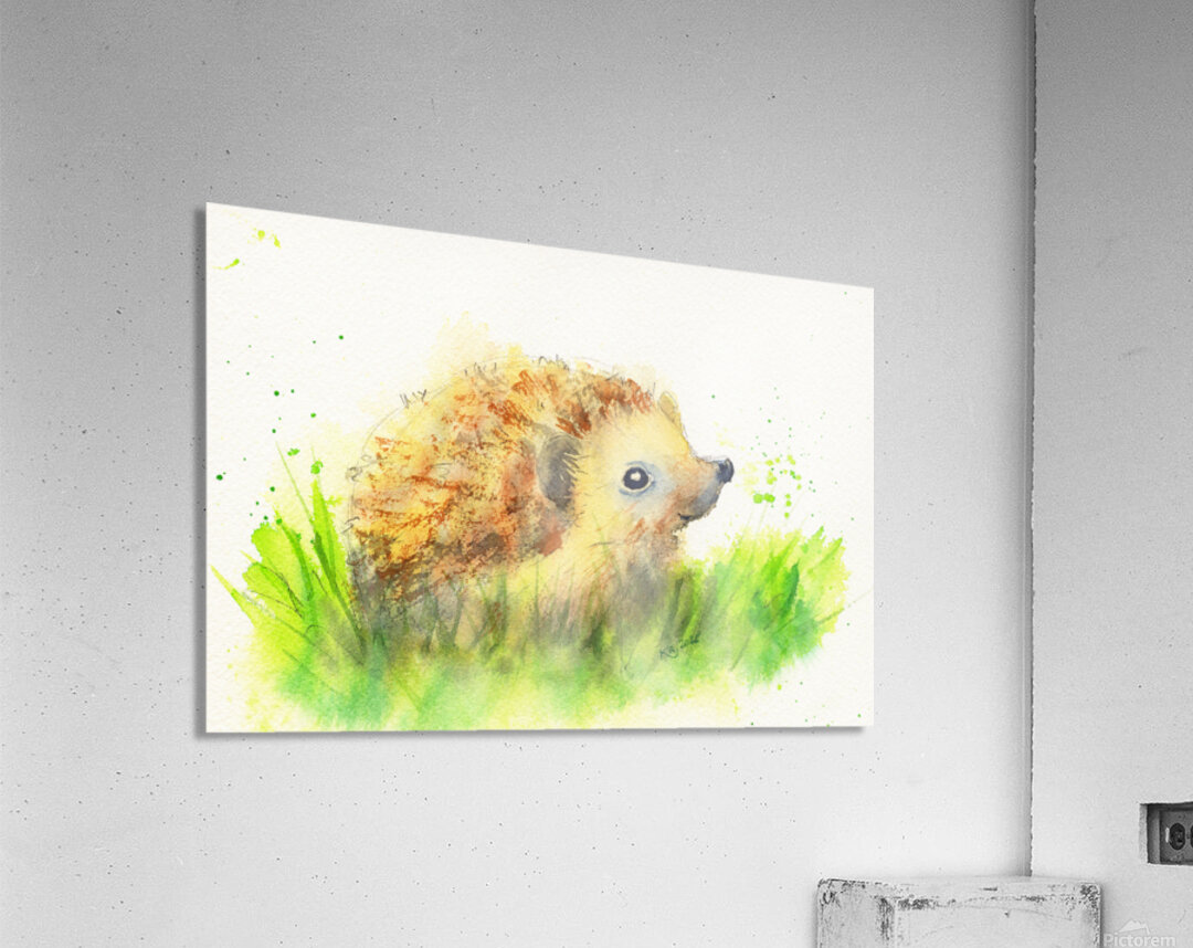 Cute little hedgehog baby Acrylic Print