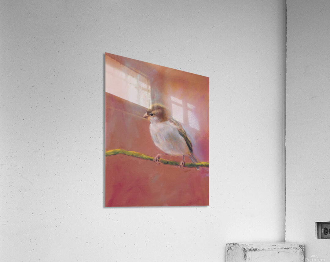 Sparrow meeting part three Acrylic Print
