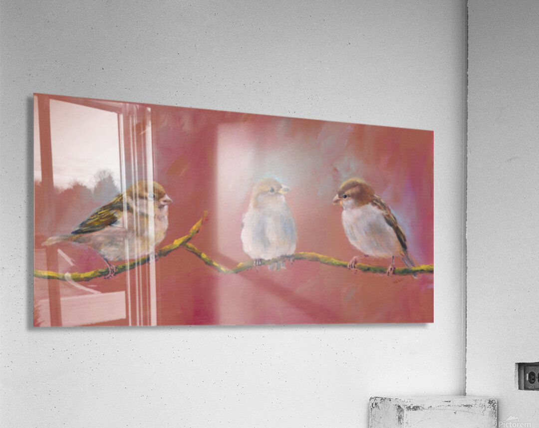 Three sparrows on a branch Acrylic Print