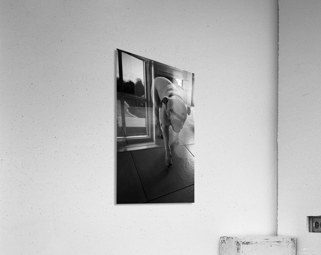 Deamon  Acrylic Print