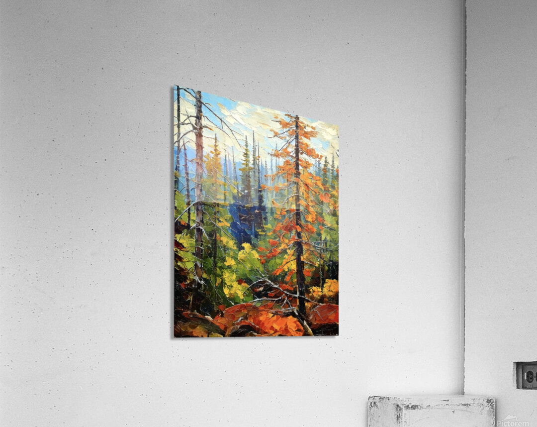 Probably Algonquin Park  Acrylic Print