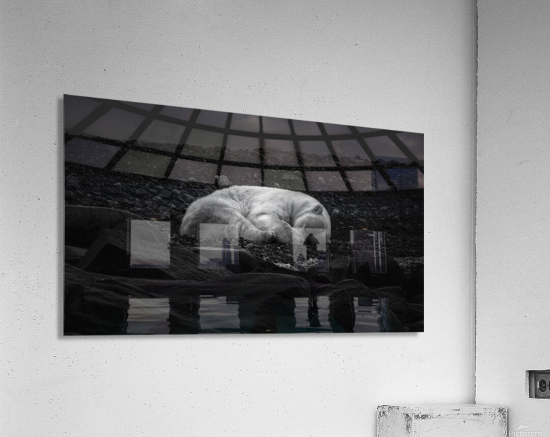 DREAMING OF ICE Impression acrylique