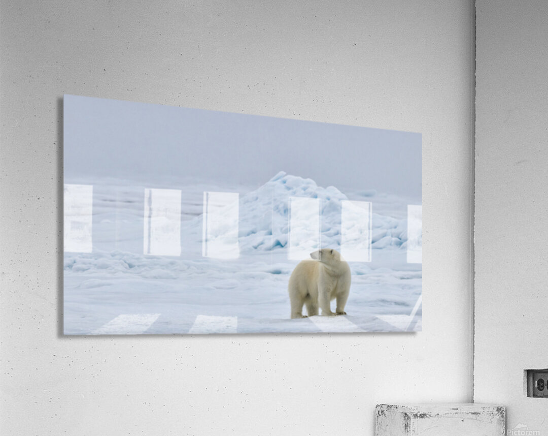 EMPRESS OF THE ARCTIC 6 Acrylic Print