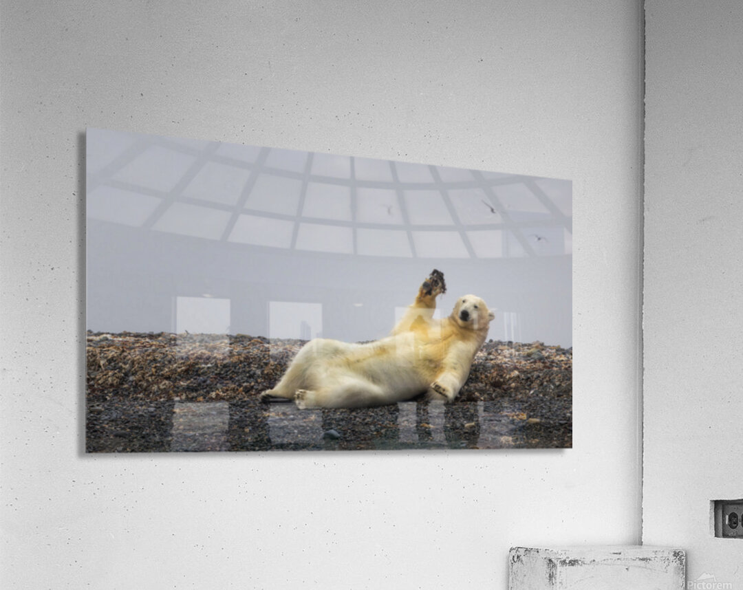 COME PLAY WITH ME Acrylic Print