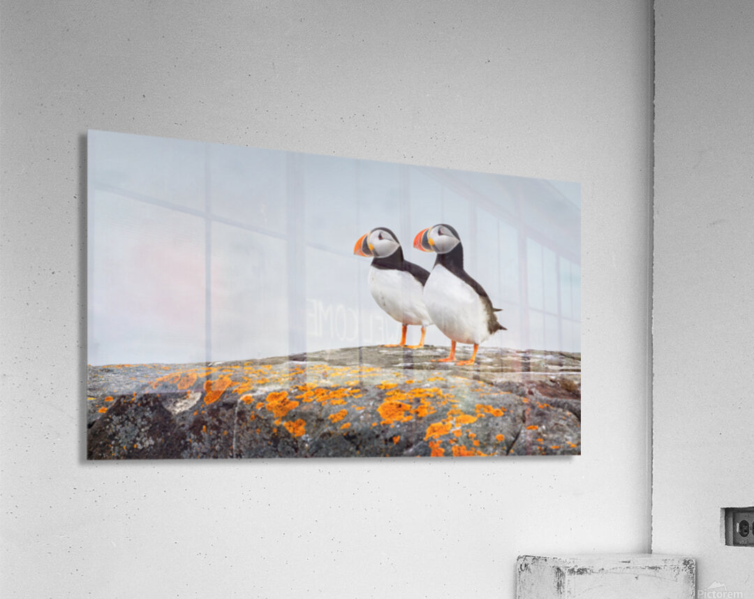 PARTNERS Acrylic Print