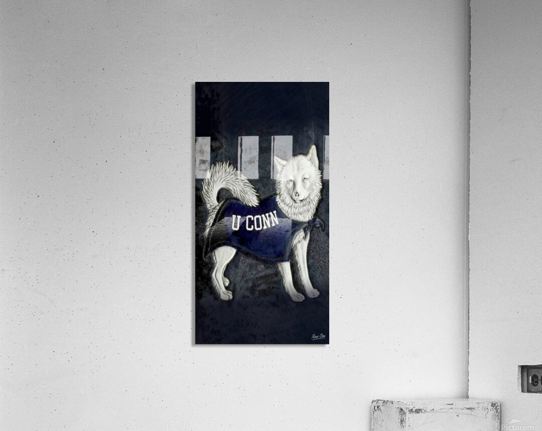 Vintage 1950s Connecticut Huskies Art Acrylic Print