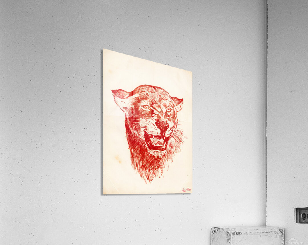 1940s Houston Cougar Art | Row One Acrylic Print