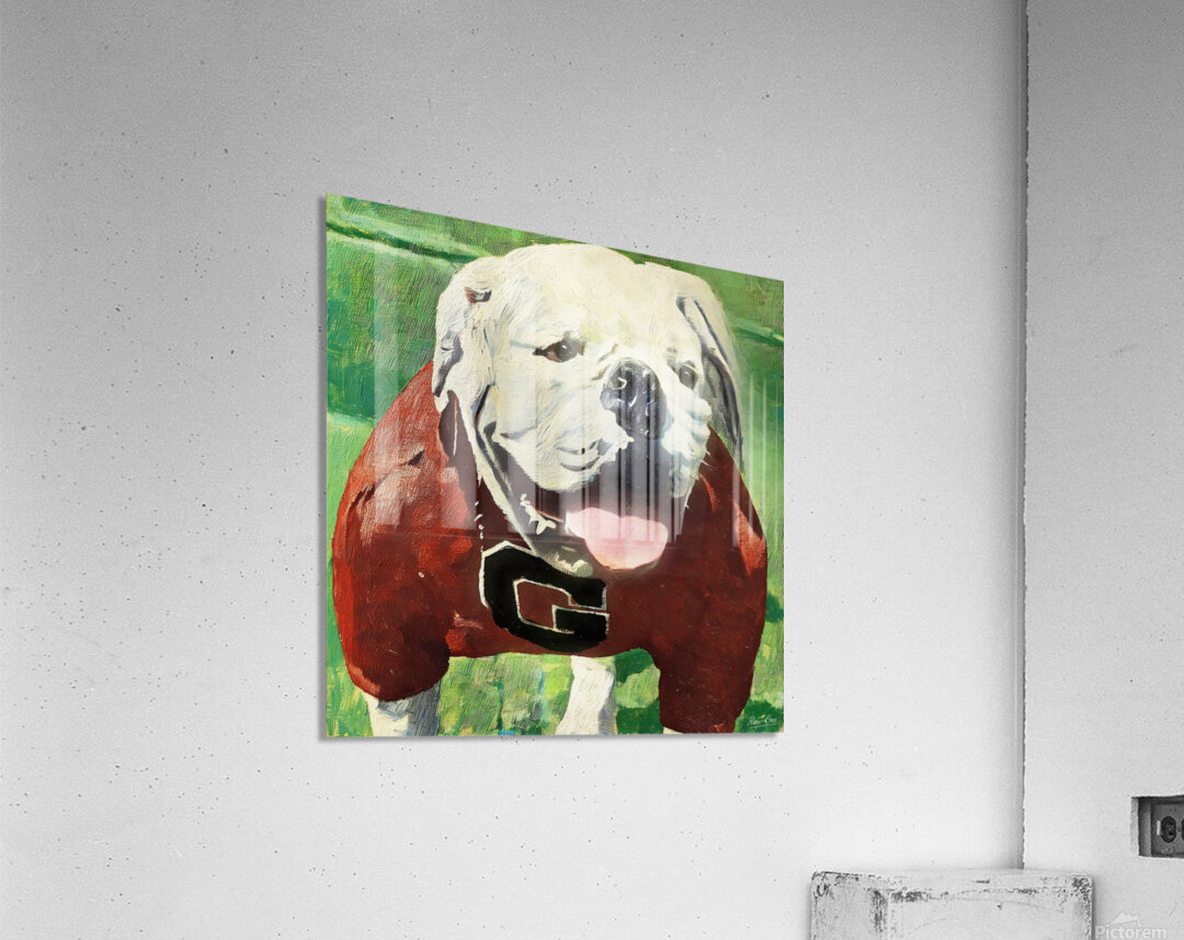 Vintage UGA Bulldog Art | Row One Acrylic Print