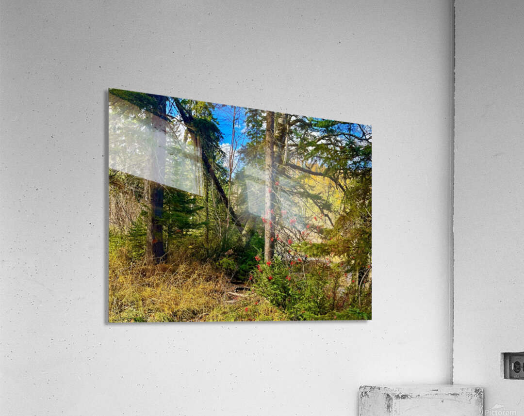 IMG 4401 brilliant colors Acrylic Print